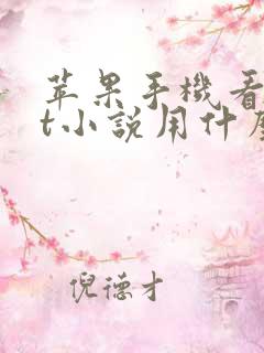 苹果手机看txt小说用什么软件