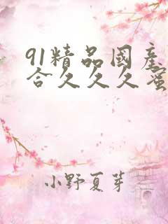 91精品国产综合久久久蜜臀的特点