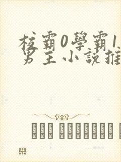 校霸0学霸1双男主小说推荐