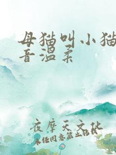 母猫叫小猫的声音温柔