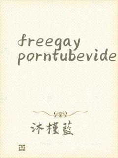 freegayporntubevideos