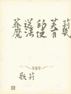 葬送的芙莉莲大魔法使有几个