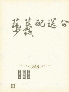 蔬菜配送公司多少钱