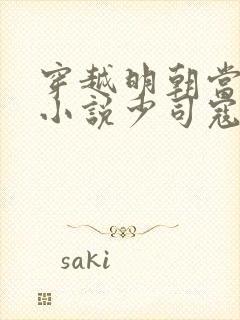 穿越明朝当皇帝小说少司寇