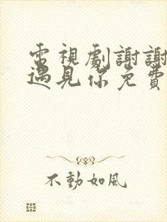 电视剧谢谢让我遇见你免费下载