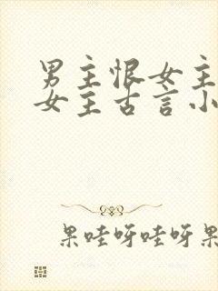 男主恨女主报复女主古言小说