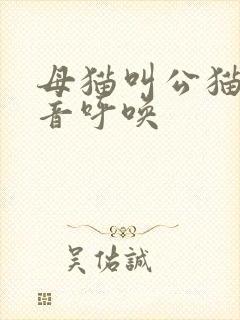 母猫叫公猫的声音呼唤