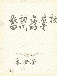 歌词你应该会明白我的爱