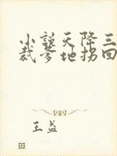 小说天降三宝总裁爹地拐回家