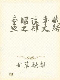 童昭往事藏匿枯鱼之肆大结局哪里看