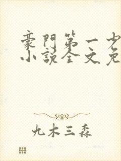 豪门第一少奶奶小说全文免费阅读