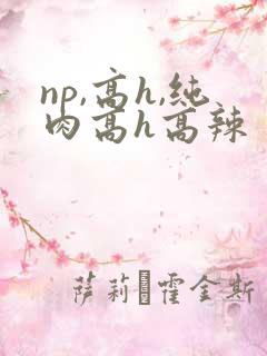 np,高h,纯肉高h高辣