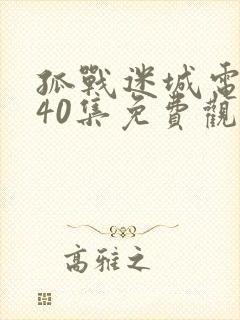 孤战迷城电视剧40集免费观看