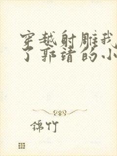 穿越射雕我夺舍了郭靖的小说