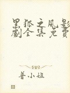 黑狐之风影电视剧全集免费观看完整