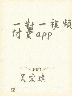 一对一视频聊天付费app