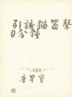 引诱猫器声音40分钟