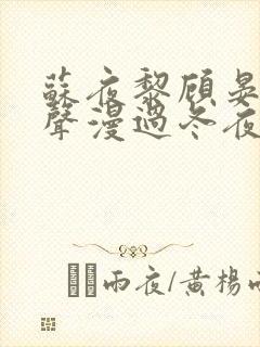 苏夜黎顾晏沉琴声漫过冬夜全本阅读