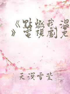 《点燃我温暖你》电视剧免费观看16集