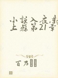 小说入夜,对她上瘾第21章