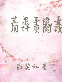 苹果手机看小说用什么阅读器好