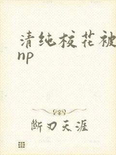 清纯校花被辣文np