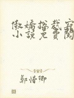 傲娇总裁宠上瘾小说免费阅读