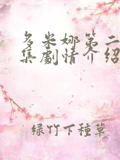 多米娜第二季分集剧情介绍