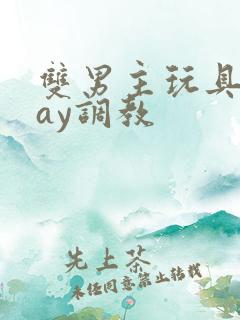 双男主玩具play调教