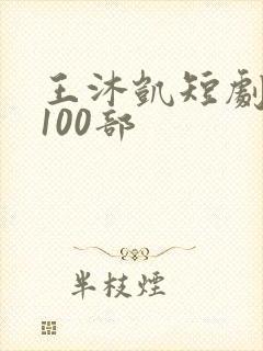 王沐凯短剧大全100部