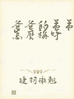 爸爸的弟弟老婆怎么称呼