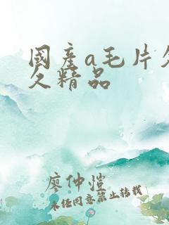 国产a毛片久久久精品