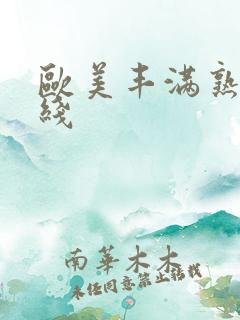 欧美丰满熟妇在线