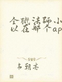 全职法师小说可以在哪个app看