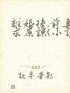 离婚后,前妻跪求原谅(小说)