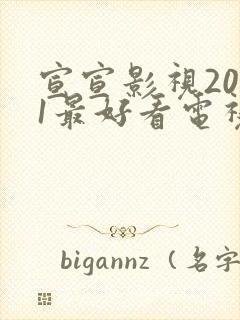宣宣影视2021最好看电视剧