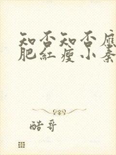 知否知否应是绿肥红瘦小秦氏