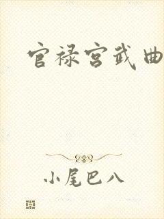 官禄宫武曲贪狼