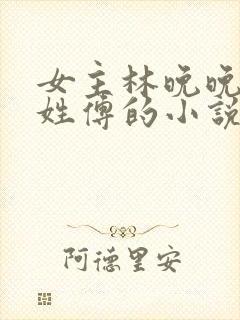女主林晚晚男主姓傅的小说