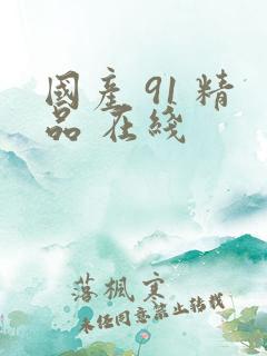国产 91 精品 在线