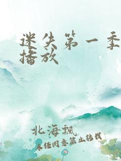 迷失第一季在线播放