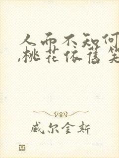 人面不知何处去,桃花依旧笑春风的作者