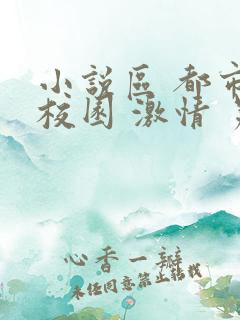 小说区 都市 校园 激情 另类