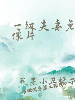 一级夫妻免费录像片