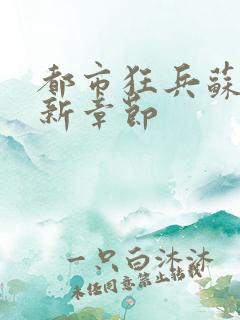 都市狂兵苏锐最新章节