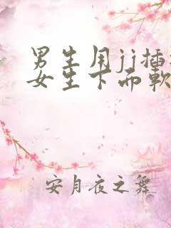 男生用jj插进女生下面软件