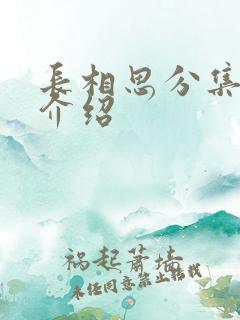 长相思分集剧情介绍