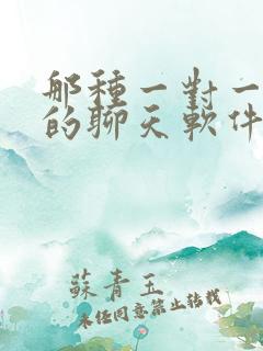 那种一对一视频的聊天软件