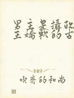 男主是摄政王女主娇软的古言