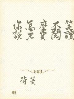 你怎么不笑了小说免费阅读